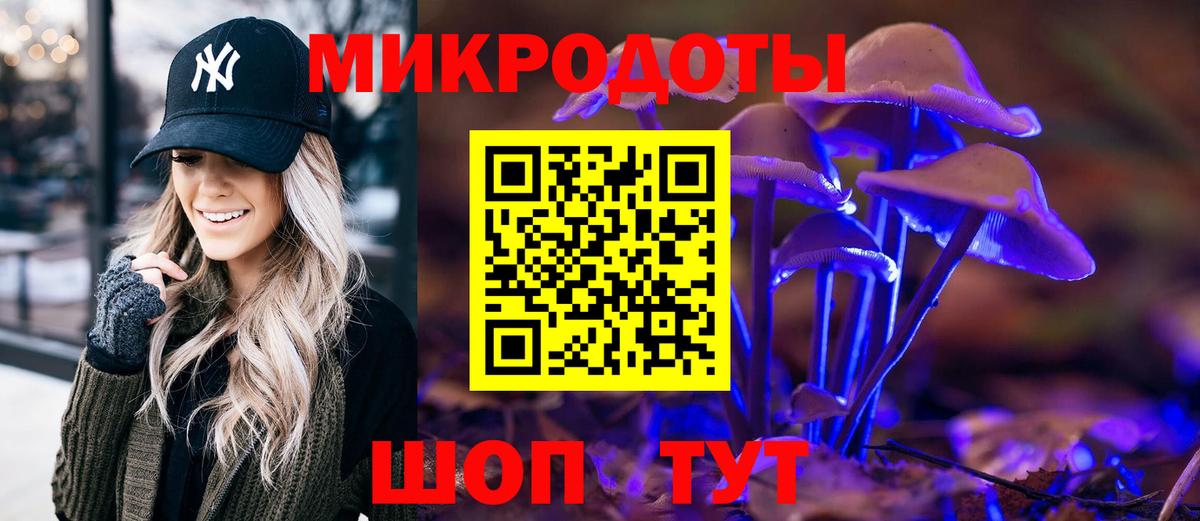 Галлюциногенные грибы Psilocybine cubensis Реутов